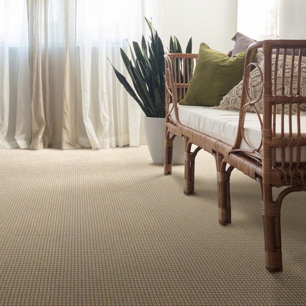 Nylon Carpet: Pros and Cons