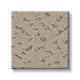 Chic Greige