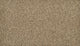 Flax Seed
