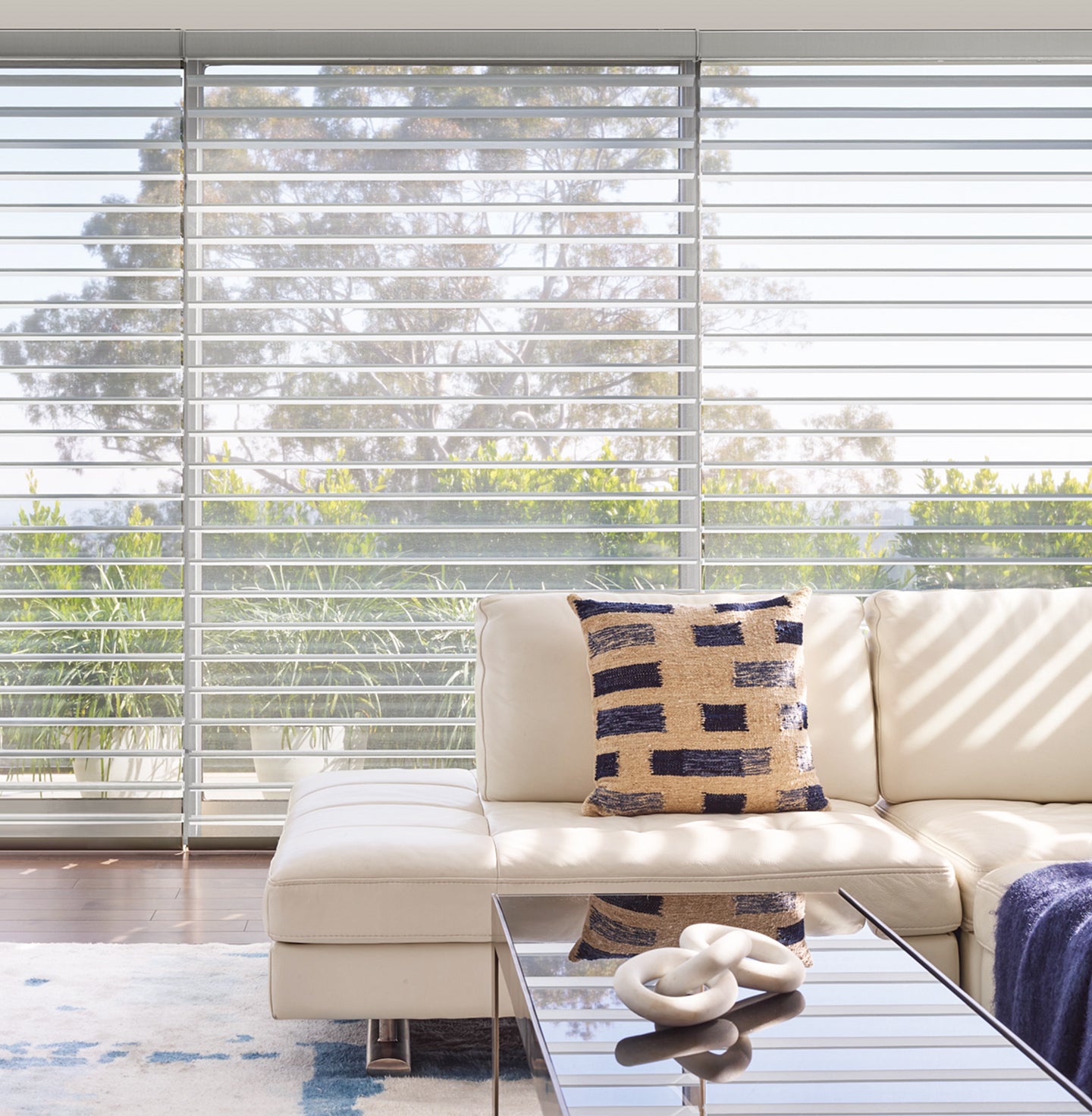 Silhouette Window Shadings