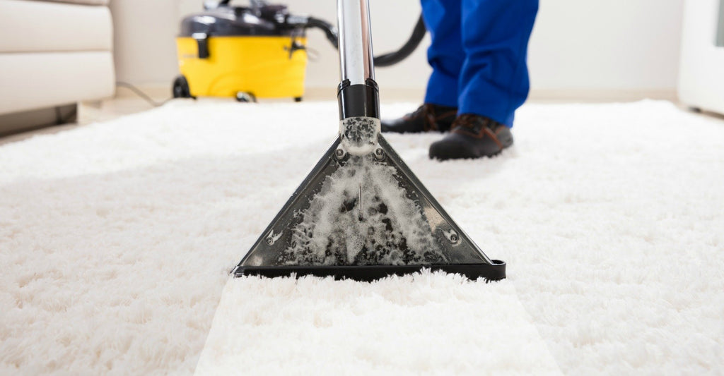 Top Reasons to Have Your Carpet Professionally Cleaned