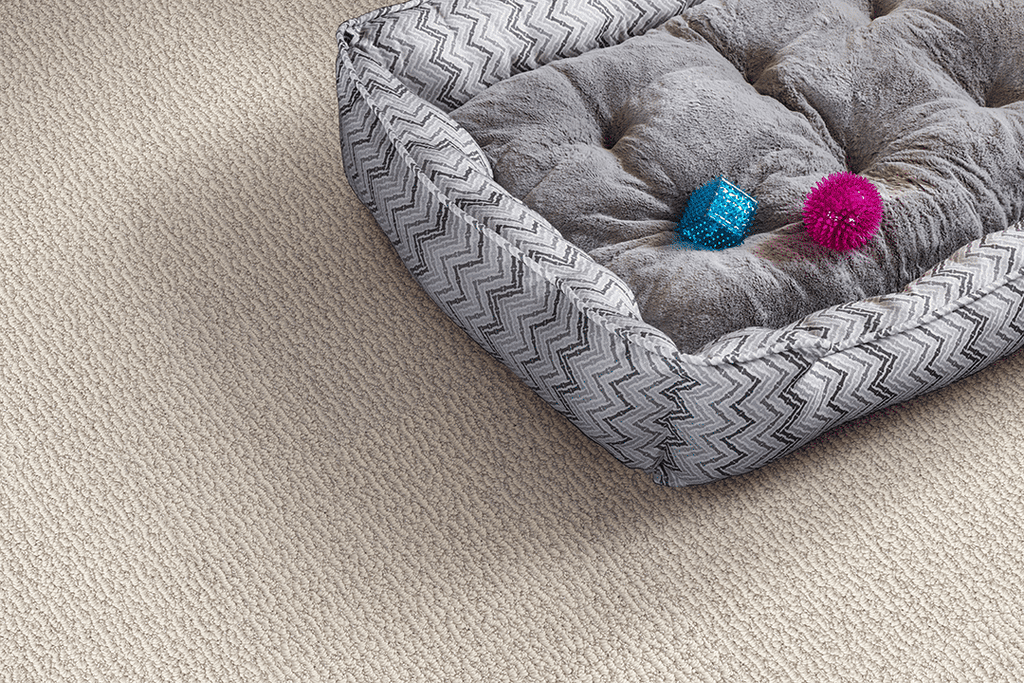 Top Carpet Flooring Trends of 2022