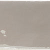 Gray Gloss