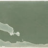 Moss Gloss