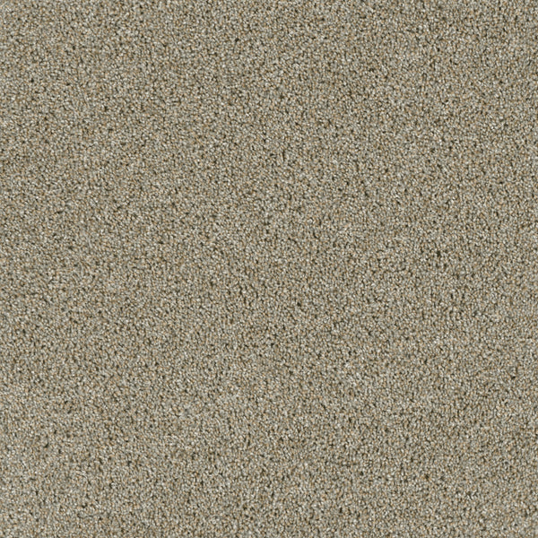 A close-up view of Acclaim Family Friendly Carpet shows a textured surface with evenly spread, fine fibers in light brown tones, resembling the smooth, intricate finish of luxury carpeting that fills the entire frame.