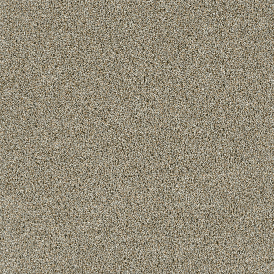 Acclaim Family Friendly Carpet