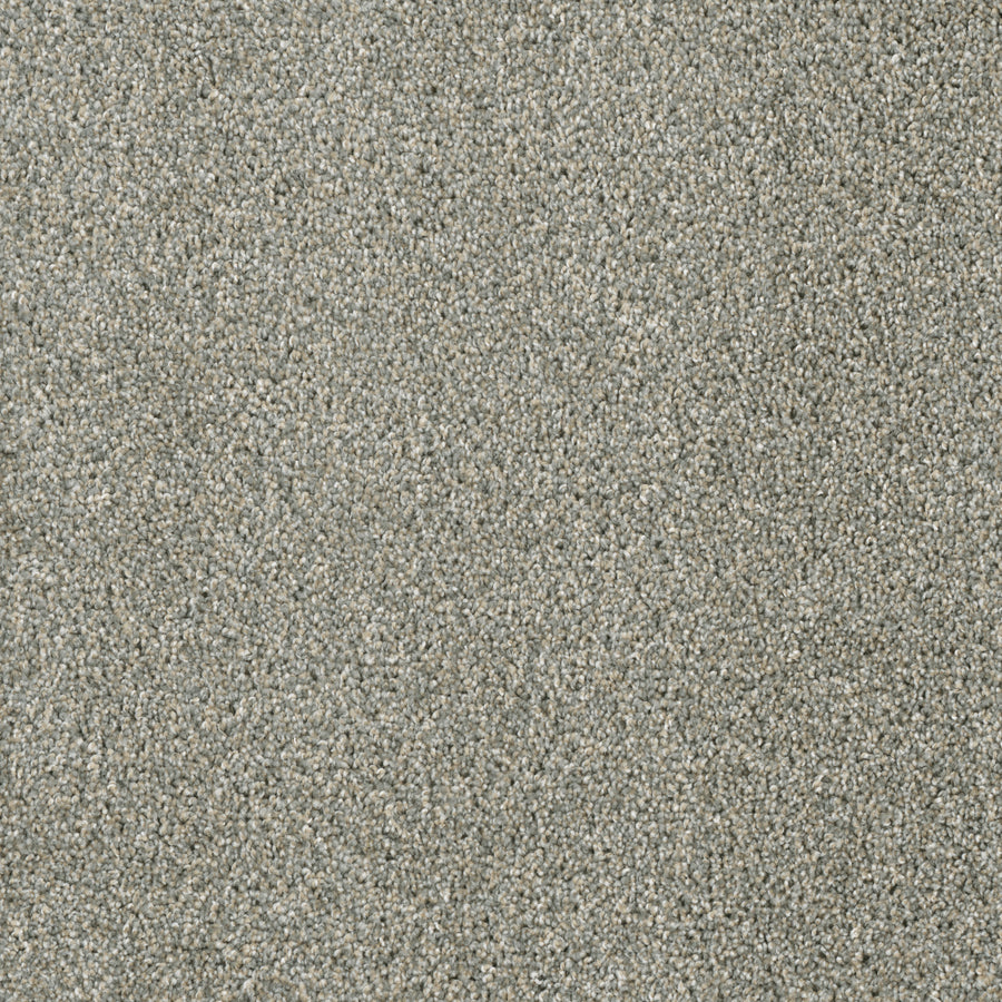 Close-up of Acclaim Family Friendly Carpet in light gray, featuring a textured looped pile. Durable fibers create a soft, speckled pattern with subtle shade variations for a stylish, family-friendly look.