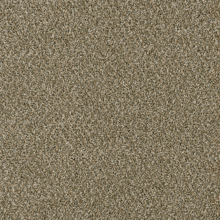 Close-up view of Acclaim Family Friendly Carpet featuring a light brown, textured plush surface with a mix of beige and tan fibers.