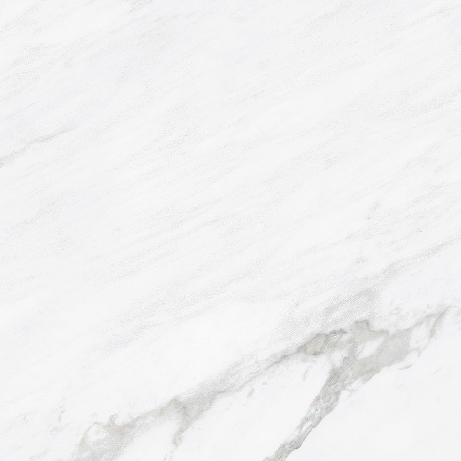 Bright Statuary 13x13 Matte Porcelain Tile