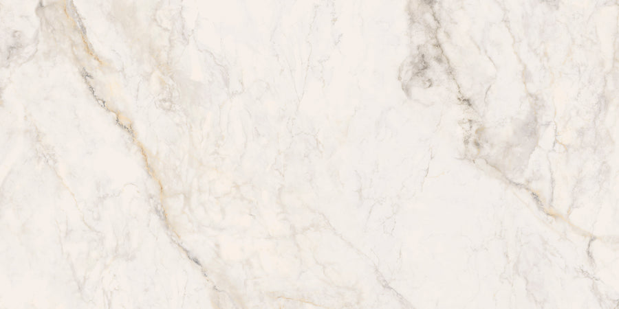 Tuscany Oro 24" x 48" Tile in a polished finish features a white marble surface with subtle grey and beige veining, natural patterns, and soft organic lines for an elegant Italian look.