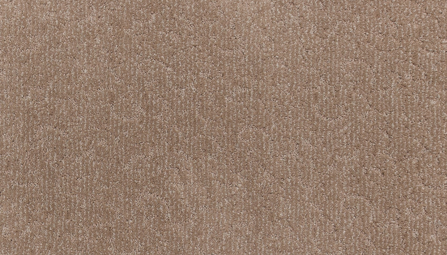 Close-up of Fleurious Pet Friendly Carpet: a beige, textured surface featuring a subtle swirling pattern. Its soft, dense fibers provide luxurious comfort and gentle color variations, perfect for both style and pet-friendly living.
