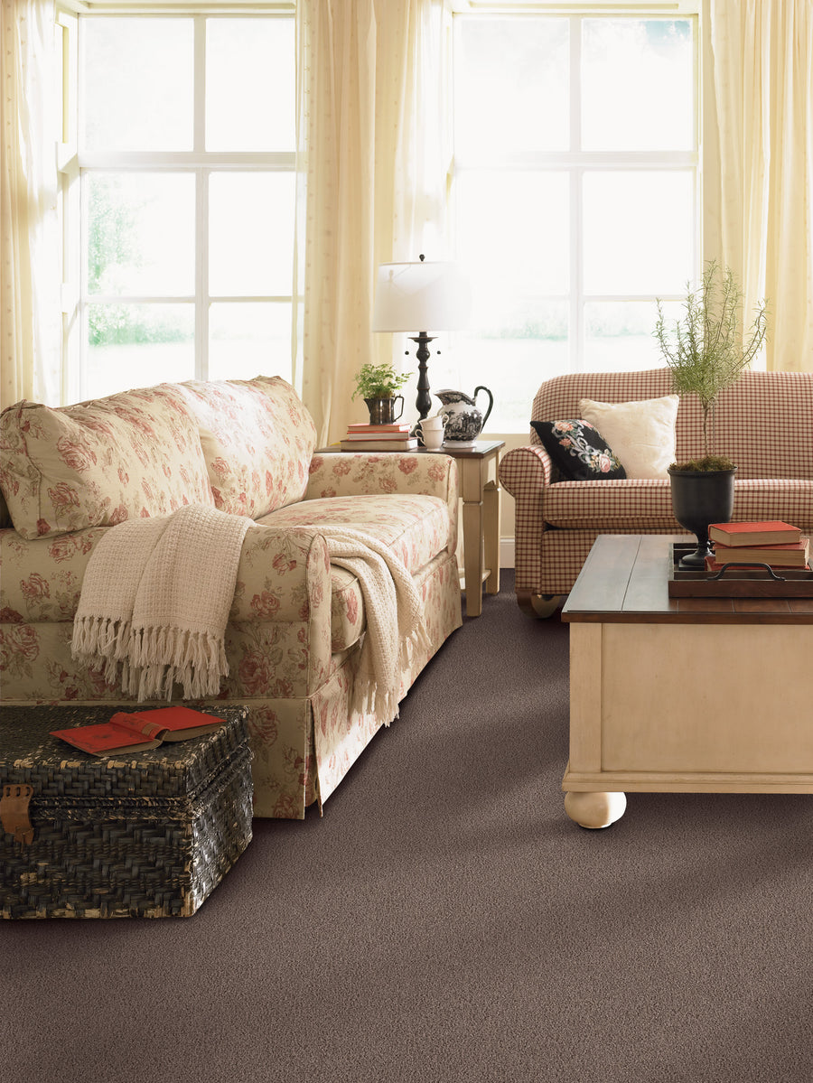 A cozy living room with floral and plaid sofas, a woven trunk, a wooden coffee table, a table lamp, and potted plants. Sunlight streams in through large windows with light curtains.
