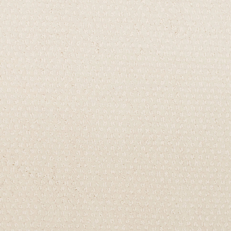 Greenwich Style Family Friendly Carpet