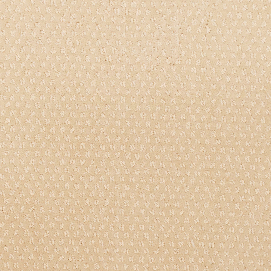 Greenwich Style Family Friendly Carpet