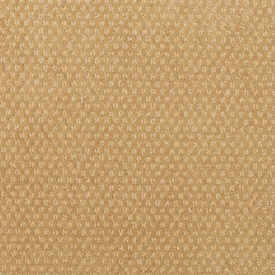 A close-up of Greenwich Style Family Friendly Carpet in light brown, featuring a subtle dotted pattern evenly spread across the surface—designed for easy maintenance and ideal for families.