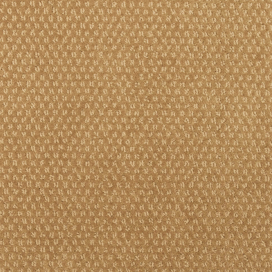 Greenwich Style Family Friendly Carpet