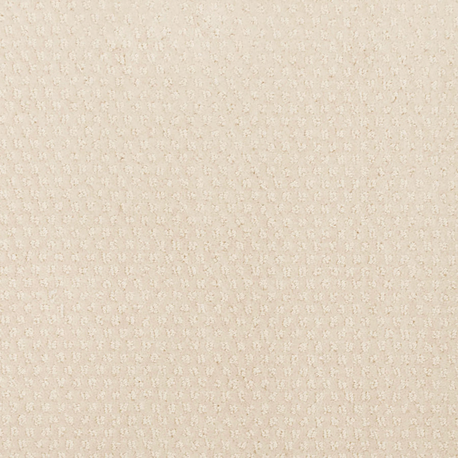 Greenwich Style Family Friendly Carpet