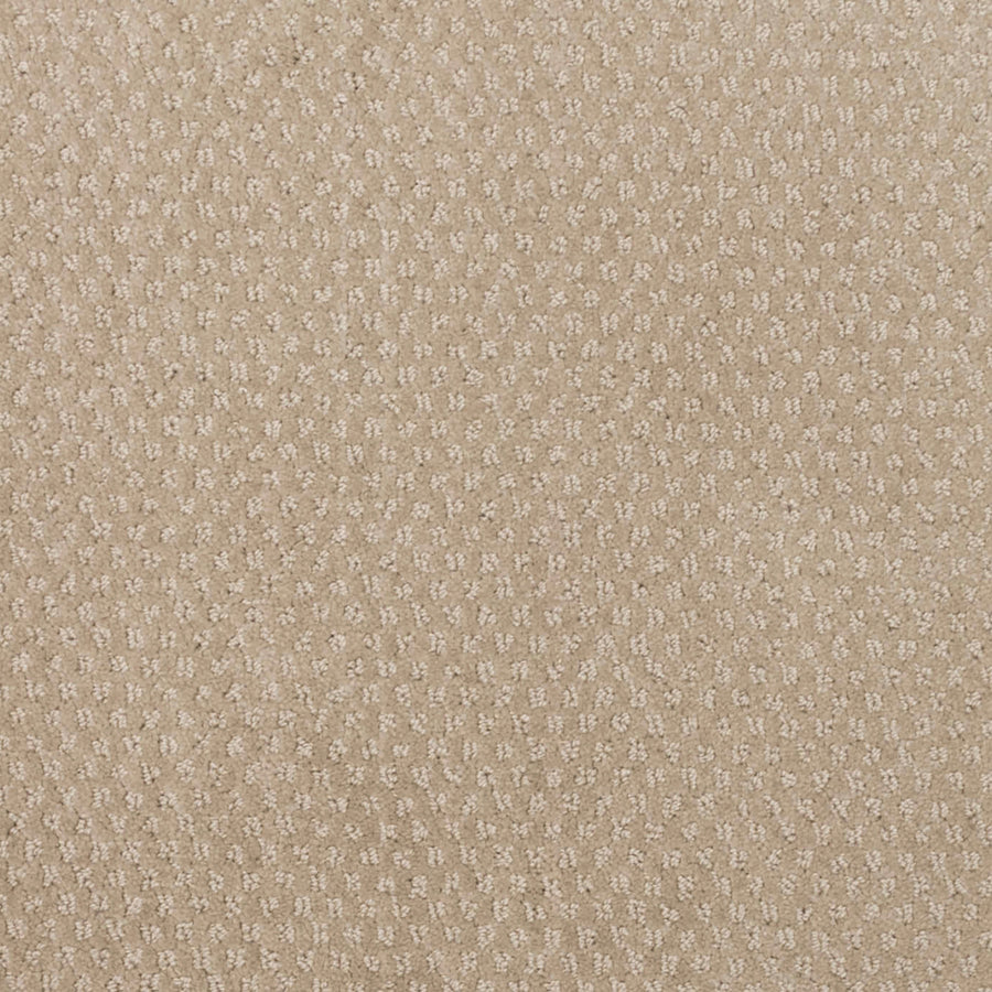 Greenwich Style Family Friendly Carpet