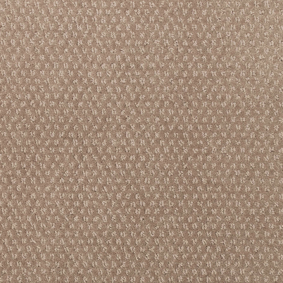 Greenwich Style Family Friendly Carpet