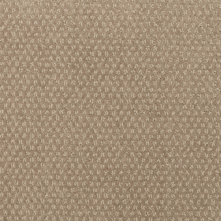 Greenwich Style Family Friendly Carpet