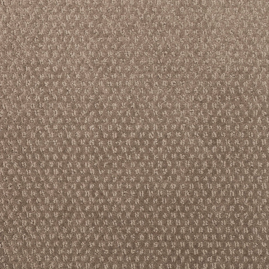 Greenwich Style Family Friendly Carpet