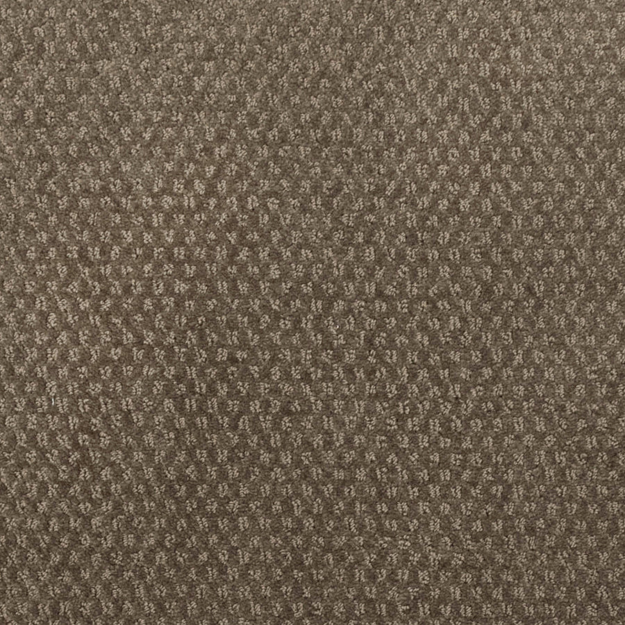 Greenwich Style Family Friendly Carpet