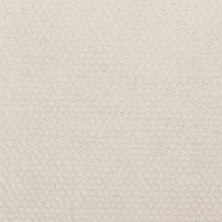 Greenwich Style Family Friendly Carpet