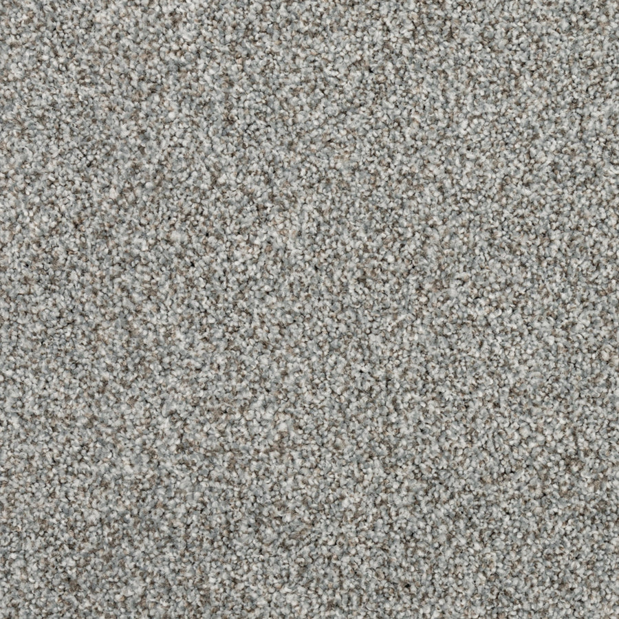 Close-up view of Fond Memoir Family Friendly Carpet in light gray, featuring tightly woven, textured fibers for a soft, plush surface—perfect for family-friendly spaces.