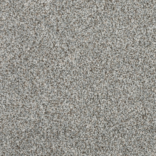 Close-up view of Fond Memoir Family Friendly Carpet in light gray, featuring tightly woven, textured fibers for a soft, plush surface—perfect for family-friendly spaces.