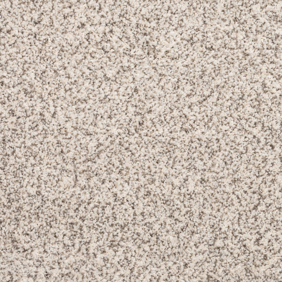 Close-up of Fond Memoir Family Friendly Carpet in light beige and gray speckled tones. Soft, plush, densely packed fibers create a subtle, neutral pattern—ideal for high-quality, family-friendly flooring.
