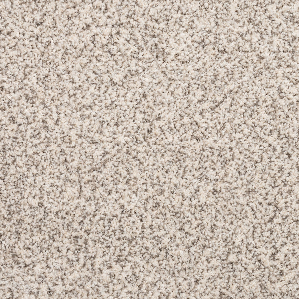 Close-up of Fond Memoir Family Friendly Carpet in light beige and gray speckled tones. Soft, plush, densely packed fibers create a subtle, neutral pattern—ideal for high-quality, family-friendly flooring.