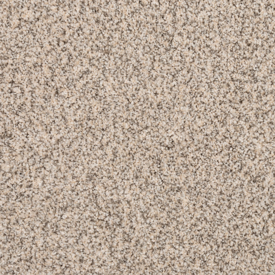 Close-up of Fond Memoir Family Friendly Carpet shows soft, dense, light beige fibers with a subtle speckled texture—an ideal, luxurious choice for family-friendly spaces.
