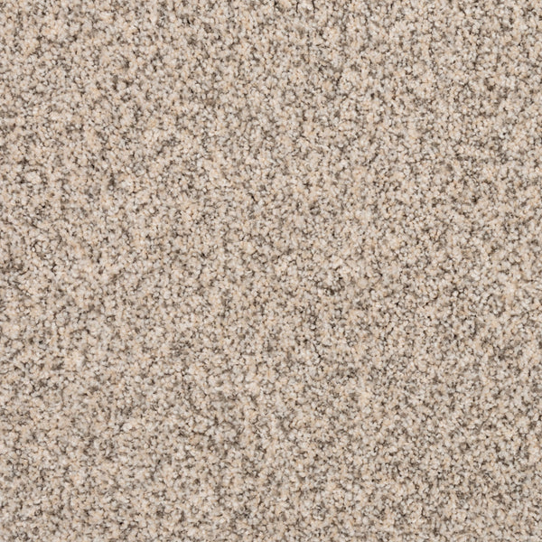 Close-up of Fond Memoir Family Friendly Carpet shows soft, dense, light beige fibers with a subtle speckled texture—an ideal, luxurious choice for family-friendly spaces.