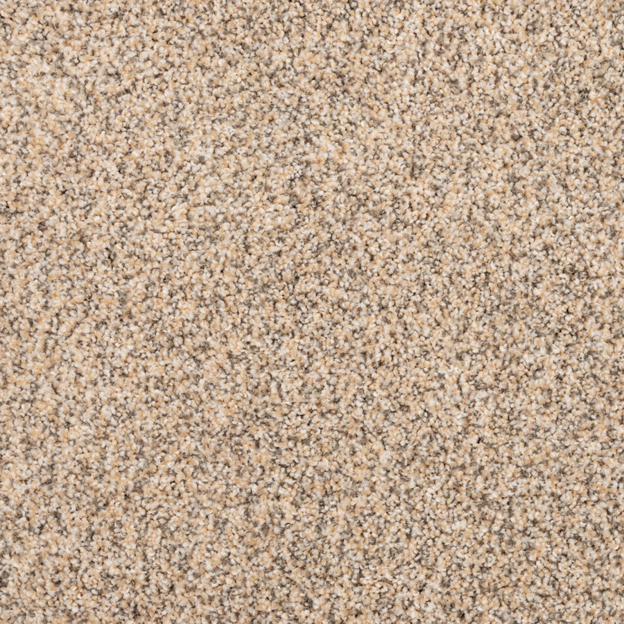 Close-up view of Fond Memoir Family Friendly Carpet shows soft, beige and light brown speckled fibers with a uniform, textured surface—ideal for high-quality flooring in any home.