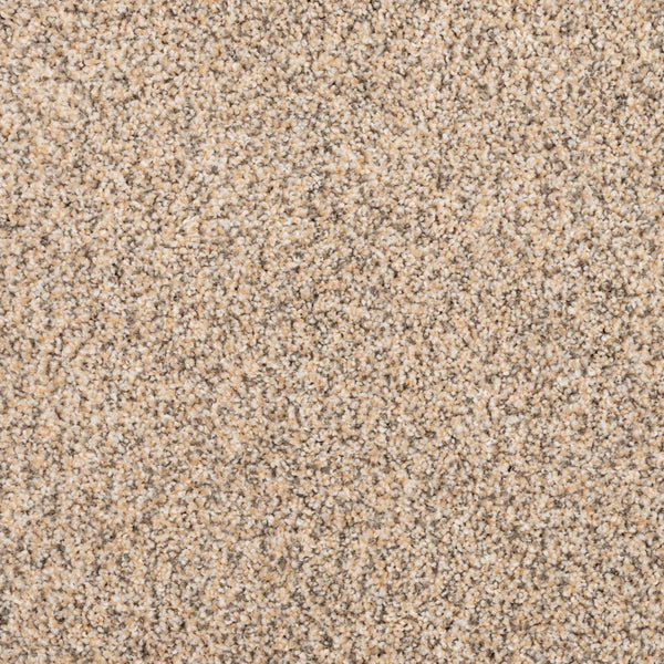 Close-up view of Fond Memoir Family Friendly Carpet shows soft, beige and light brown speckled fibers with a uniform, textured surface—ideal for high-quality flooring in any home.