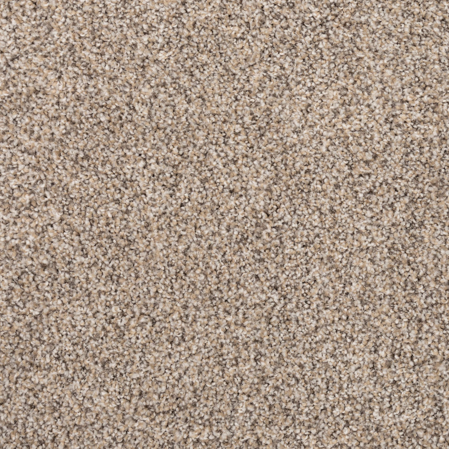 Close-up of Fond Memoir Family Friendly Carpet shows luxurious beige and light brown fibers, creating a soft, textured surface in neutral tones—ideal for family spaces.