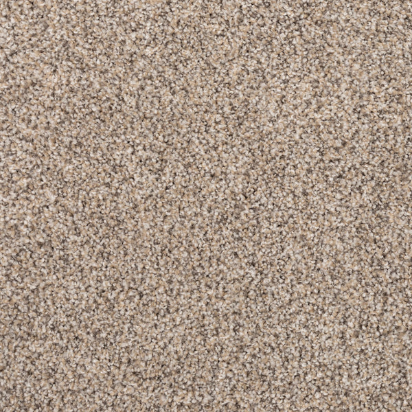 Close-up of Fond Memoir Family Friendly Carpet shows luxurious beige and light brown fibers, creating a soft, textured surface in neutral tones—ideal for family spaces.