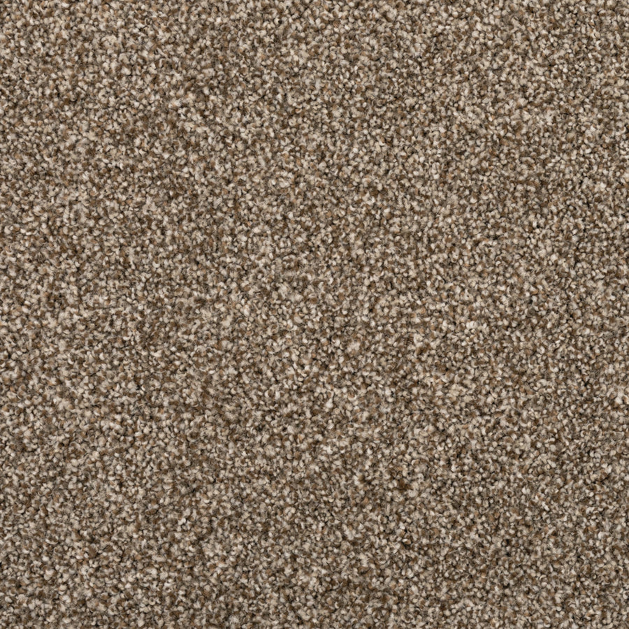 Close-up of Fond Memoir Family Friendly Carpet, featuring dense, soft beige-brown fibers with a uniform, plush texture—an ideal choice for high-quality flooring in any home.
