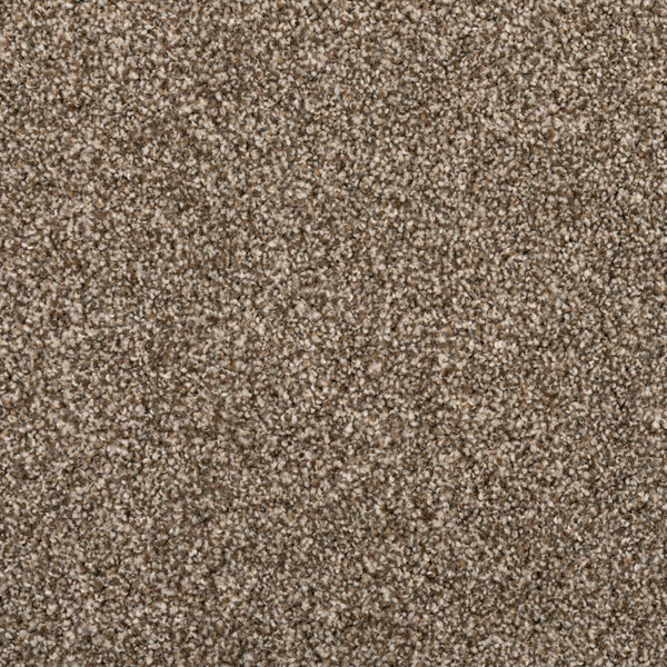 Close-up of Fond Memoir Family Friendly Carpet, featuring dense, soft beige-brown fibers with a uniform, plush texture—an ideal choice for high-quality flooring in any home.