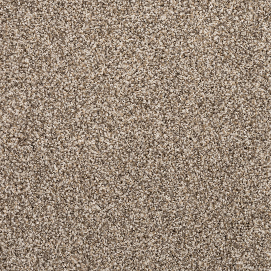 Close-up of Fond Memoir Family Friendly Carpet reveals beige and light brown textured fibers, creating a soft, dense surface—ideal for bringing comfort and elegance to any home.