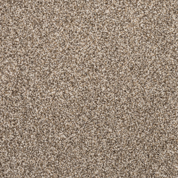Close-up of Fond Memoir Family Friendly Carpet reveals beige and light brown textured fibers, creating a soft, dense surface—ideal for bringing comfort and elegance to any home.