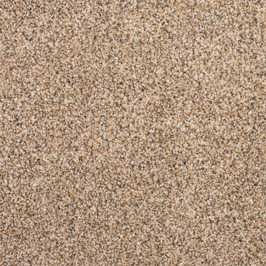 Close-up of Fond Memoir Family Friendly Carpet in beige and light brown, featuring soft, plush fibers and a tightly woven pattern—an ideal high-quality flooring choice for families.