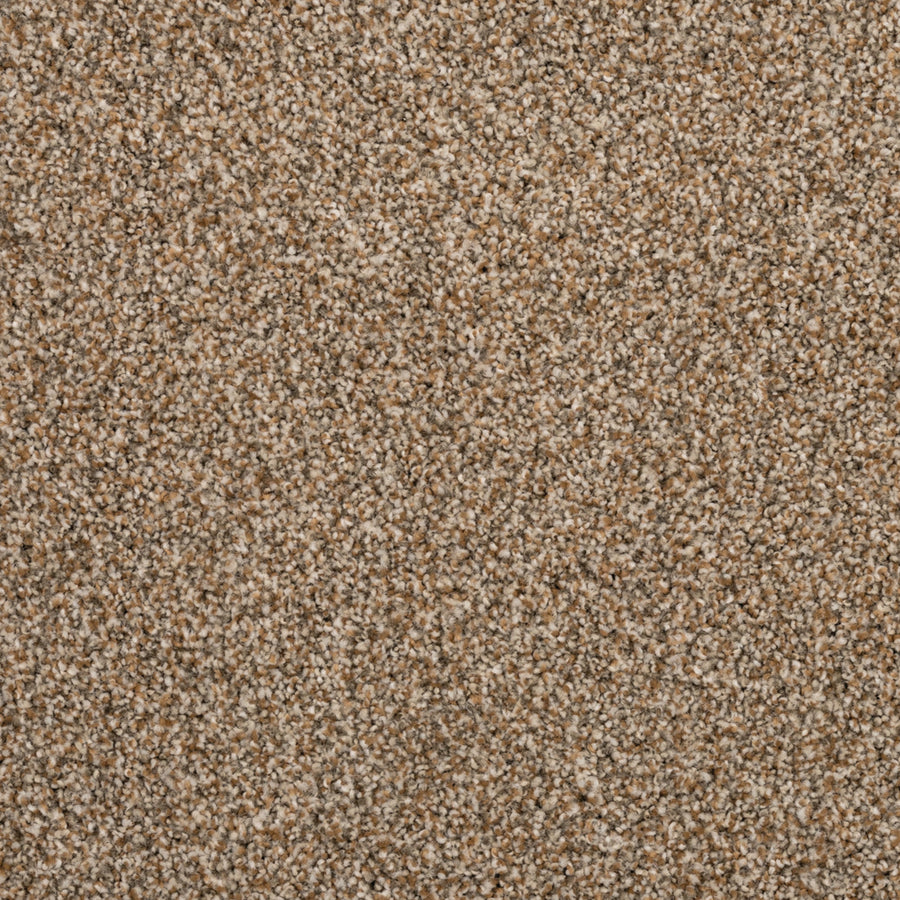 Close-up of Fond Memoir Family Friendly Carpet in beige and light brown, showing its dense, tightly woven fibers and soft, speckled texture—ideal for high-quality, stylish flooring in any home.