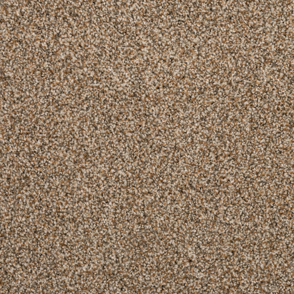 Close-up of Fond Memoir Family Friendly Carpet in beige and light brown, showing its dense, tightly woven fibers and soft, speckled texture—ideal for high-quality, stylish flooring in any home.