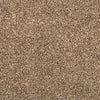 Sandy Clay