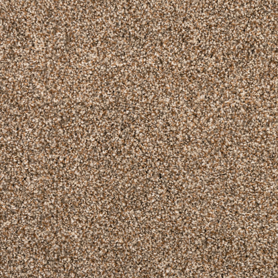 Close-up of Fond Memoir Family Friendly Carpet shows soft, textured beige fibers with cream, tan, and light brown tones—ideal for high-quality flooring in busy family spaces.