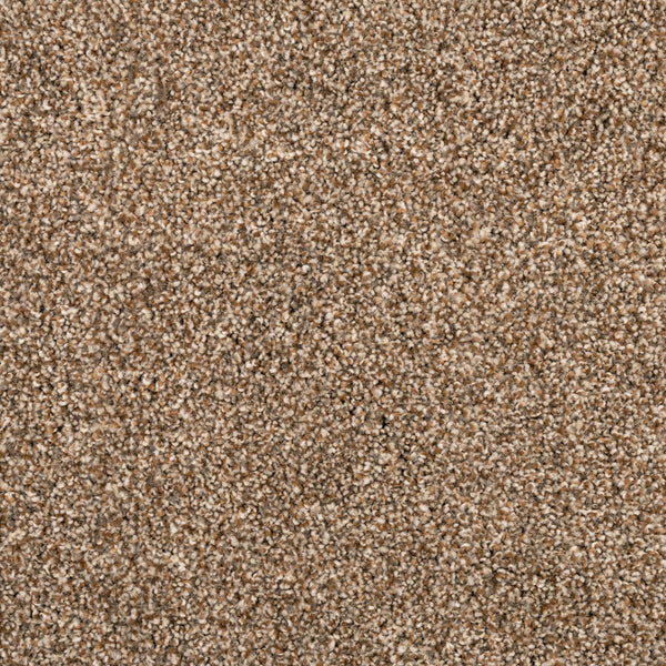 Close-up of Fond Memoir Family Friendly Carpet shows soft, textured beige fibers with cream, tan, and light brown tones—ideal for high-quality flooring in busy family spaces.