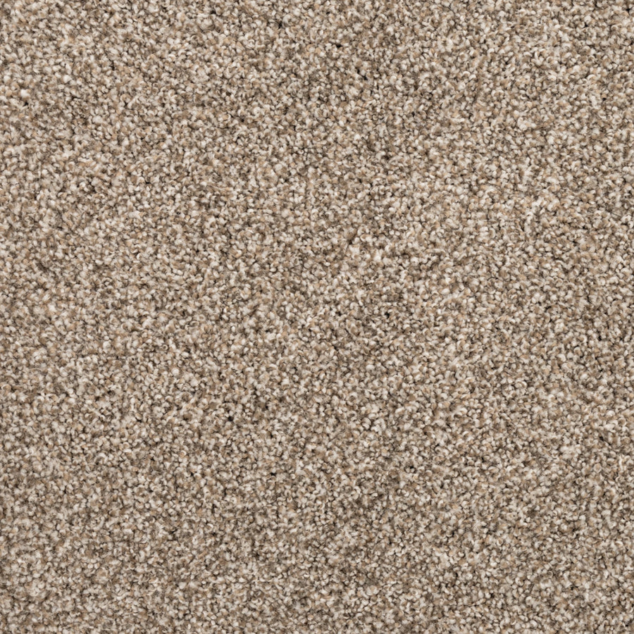 Close-up of Fond Memoir Family Friendly Carpet in beige, featuring short, densely packed fibers for a soft, uniform, and luxurious textured look.