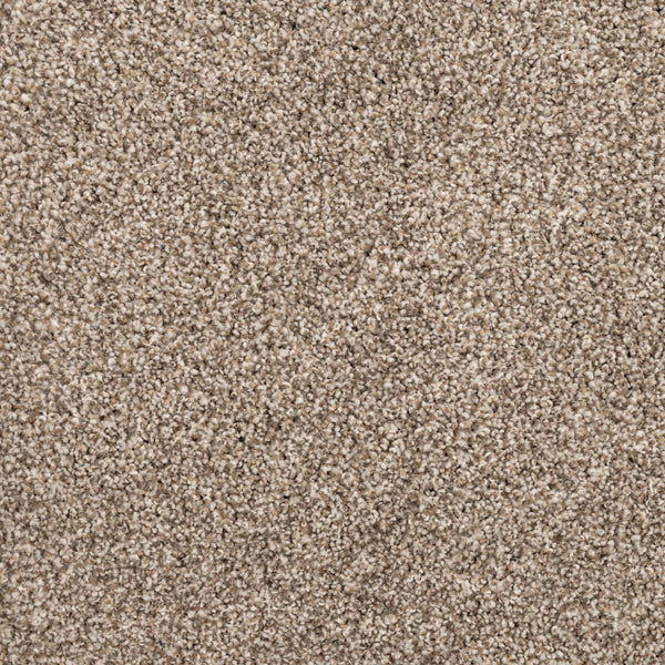 Close-up of Fond Memoir Family Friendly Carpet in beige, featuring short, densely packed fibers for a soft, uniform, and luxurious textured look.