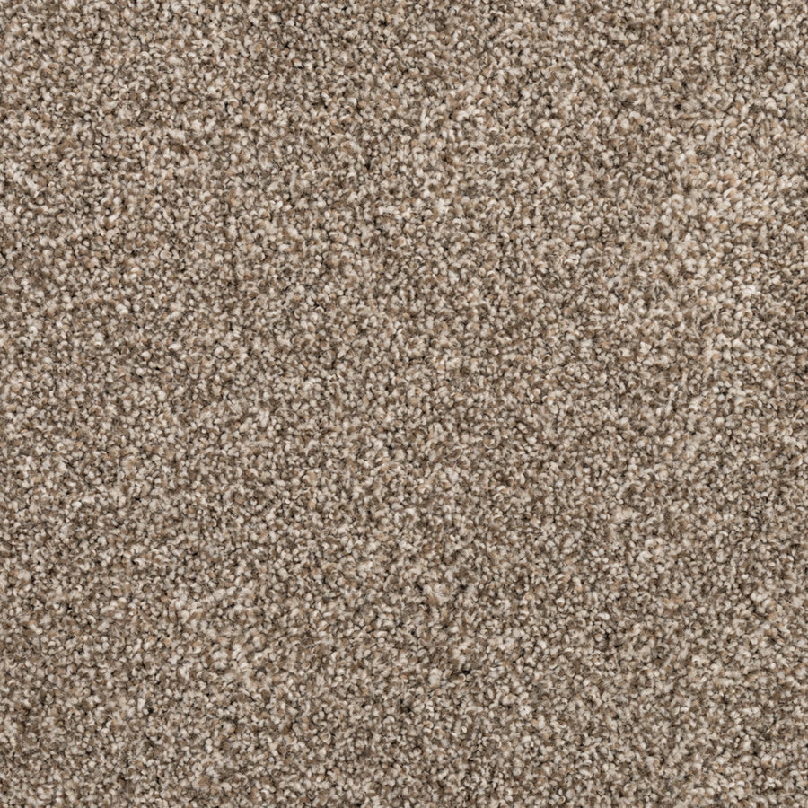Close-up view of Fond Memoir Family Friendly Carpet in beige and light brown, highlighting its soft, dense, and luxurious fibers—ideal for high-quality home flooring.